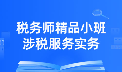 税务师精品小班-涉税服务实务